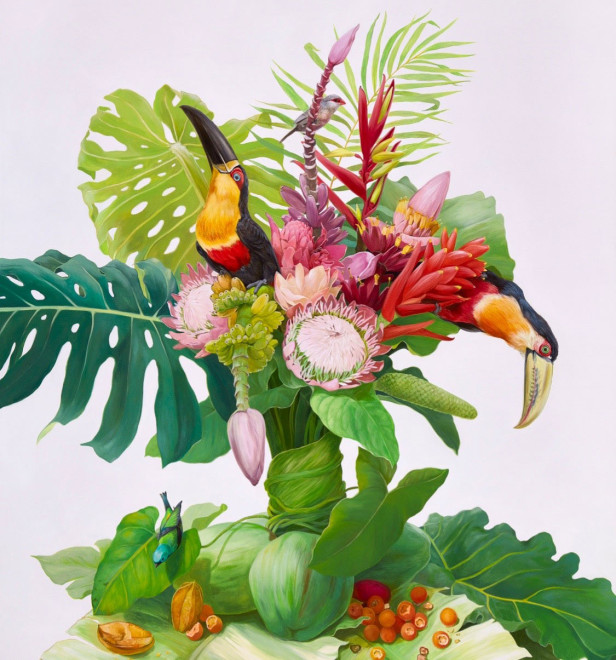 tucanes