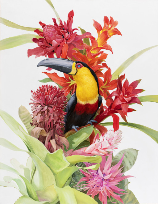 tucan con flores