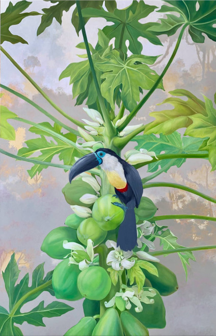 tucan de pico negro y papaya