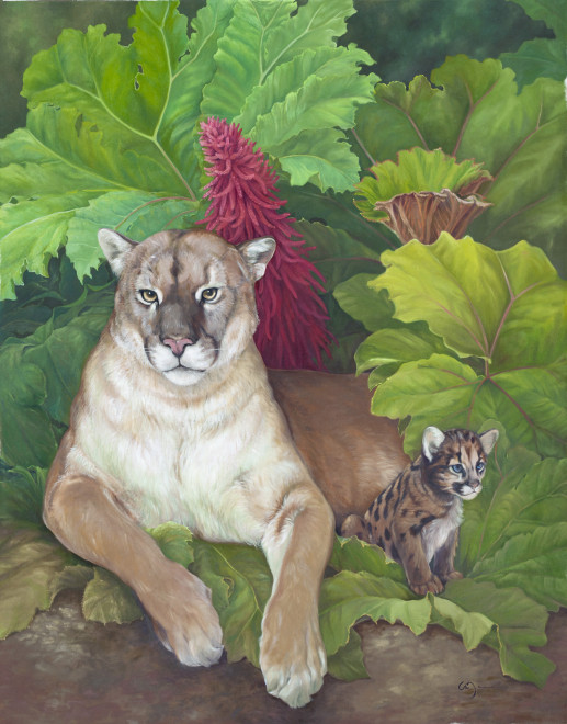 puma