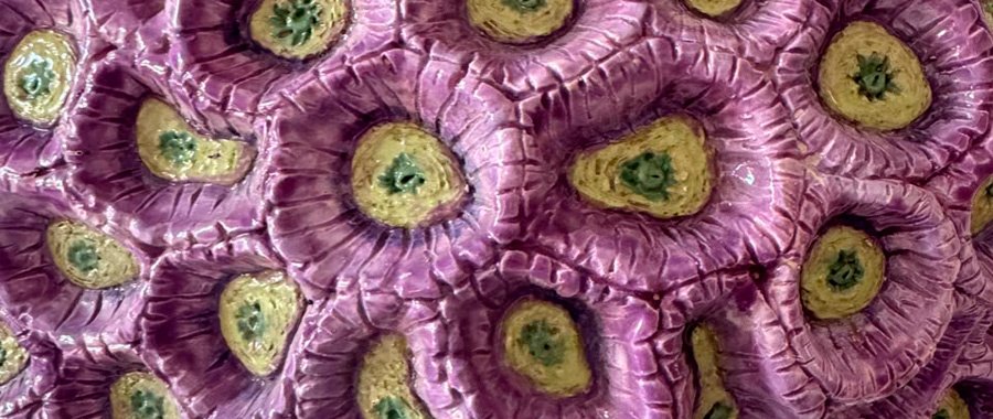 ceramicas-900x380